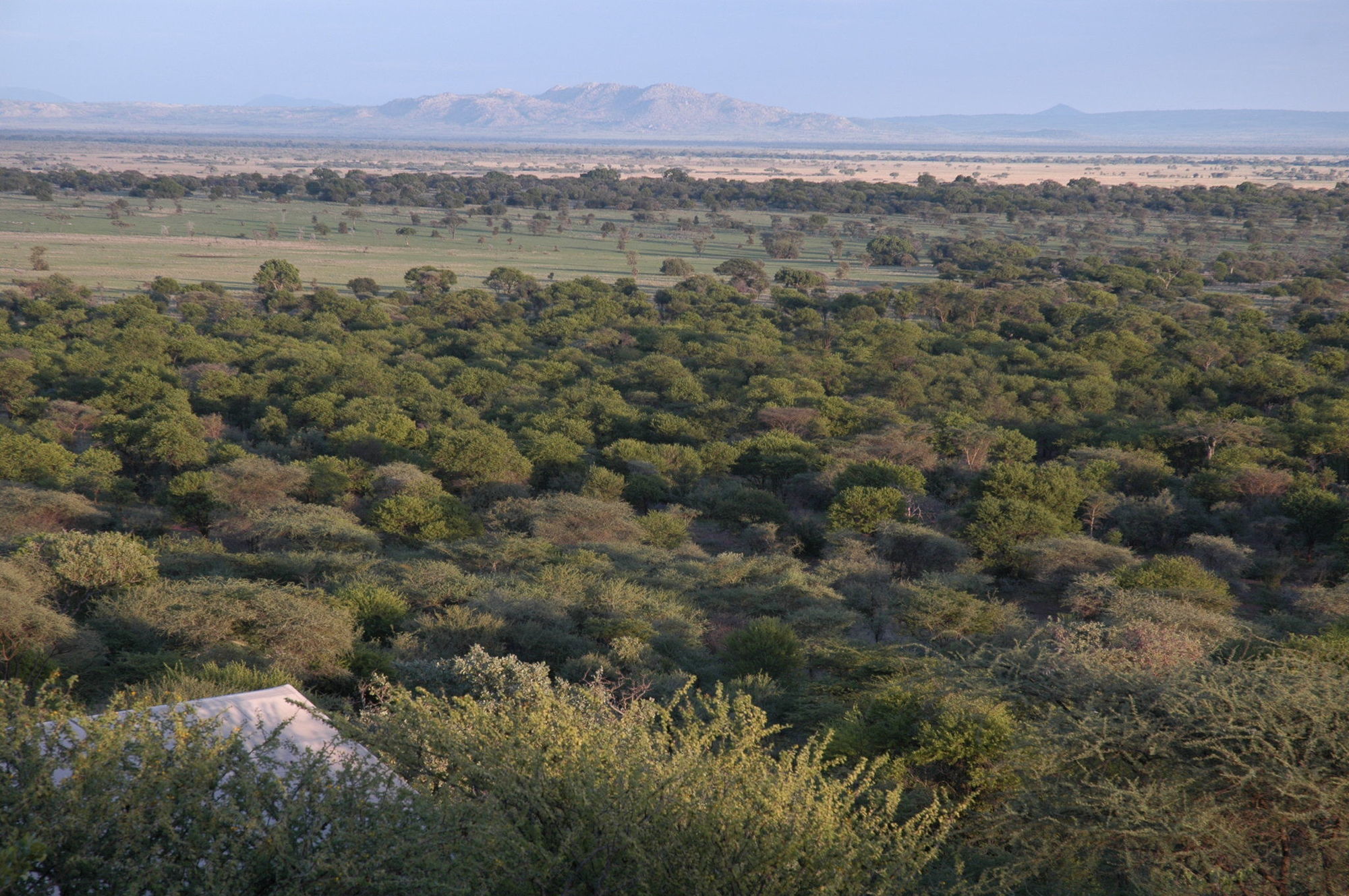 Kirawira Serena Camp Robanda Kültér fotó